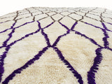 Berber Shag Rug