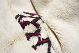 Berber Shag Rug