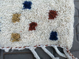 Berber Shag Rug