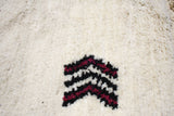 Berber Shag Rug