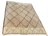 Berber Shag Rug