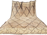 Berber Shag Rug