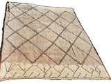 Berber Shag Rug